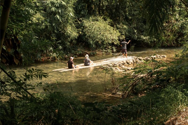 Khao Lak: Elephant Safari With Lunch - Pickup and Transportation