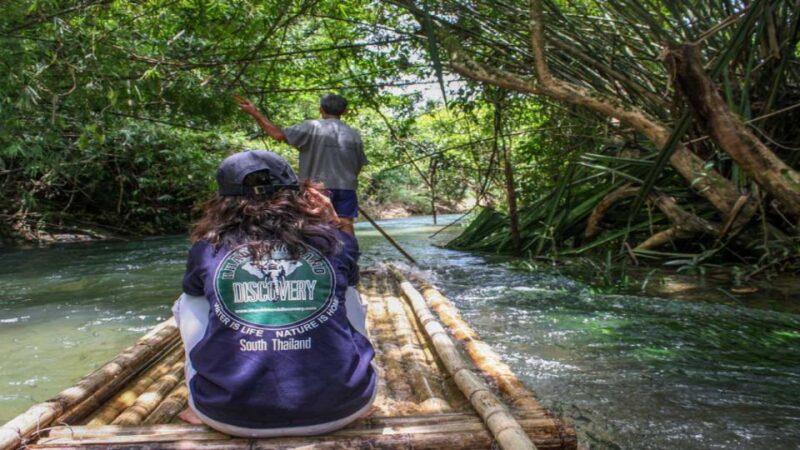 Khao Lak: Elephant Safari With Lunch - Temple Visit and Waterfall