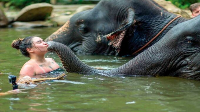 Khao Lak: Elephant Safari With Lunch - Frequently Asked Questions