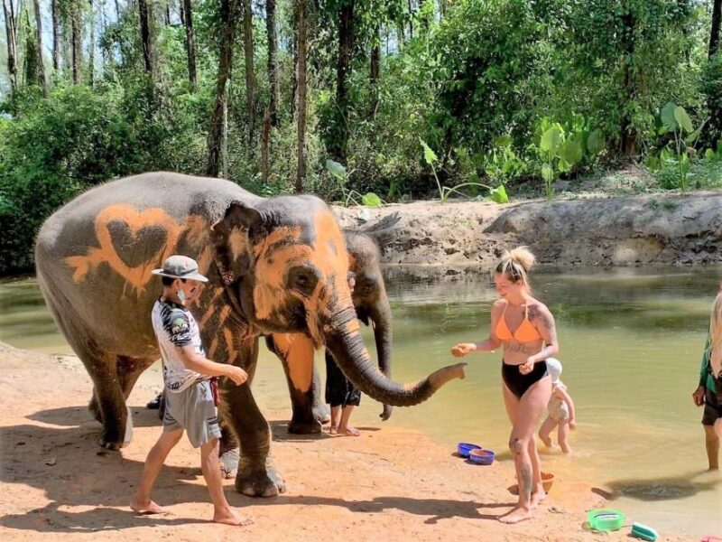 Khao Lak: Elephant Sanctuary Guided Tour - Itinerary