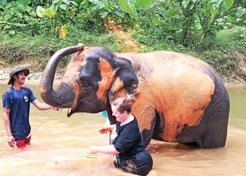 Khao Lak: Elephant Sanctuary Guided Tour - Highlights