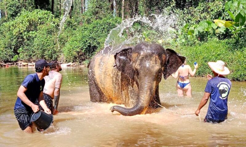 Khao Lak: Elephant Sanctuary Guided Tour - Inclusions