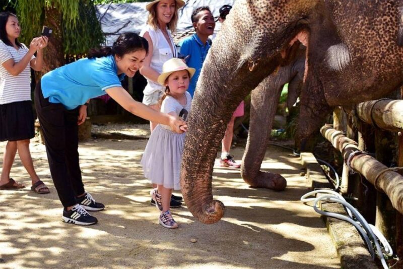 Khao Lak: Elephant Sanctuary Guided Tour - Important Information