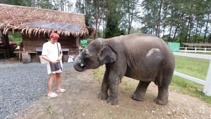 Khao Lak: Elephant Sanctuary Guided Tour - Customer Reviews