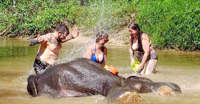 Khao Lak: Elephant Sanctuary Guided Tour - Safety Guidelines