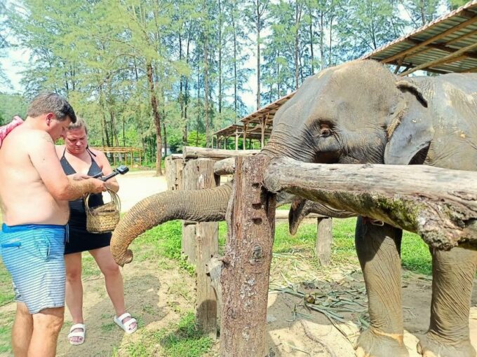 Khao Lak: Elephant Sanctuary Guided Tour - Frequently Asked Questions