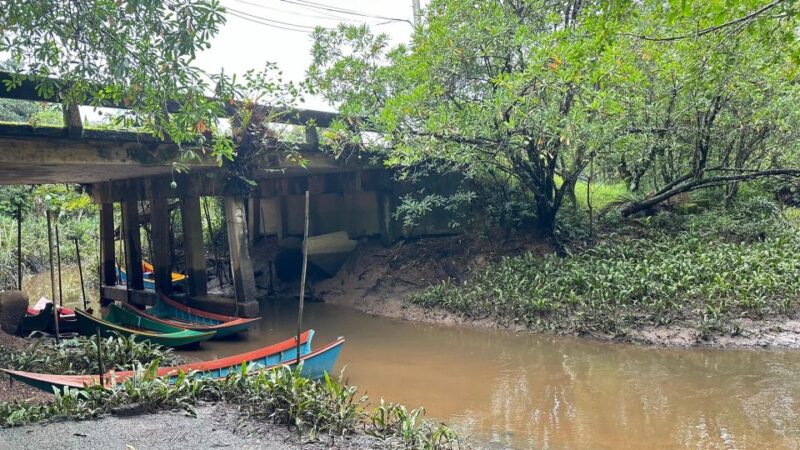 Khao Lak: Elephant Sanctuary Visit and Mangrove Kayak Tour - Itinerary and Activities