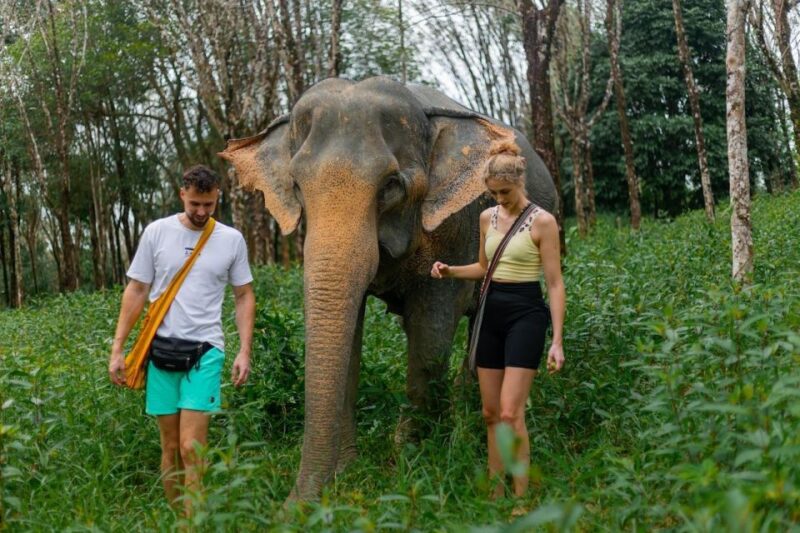 Khao Lak: Elephant Sanctuary Visit and Mangrove Kayak Tour - What to Bring and Recommendations