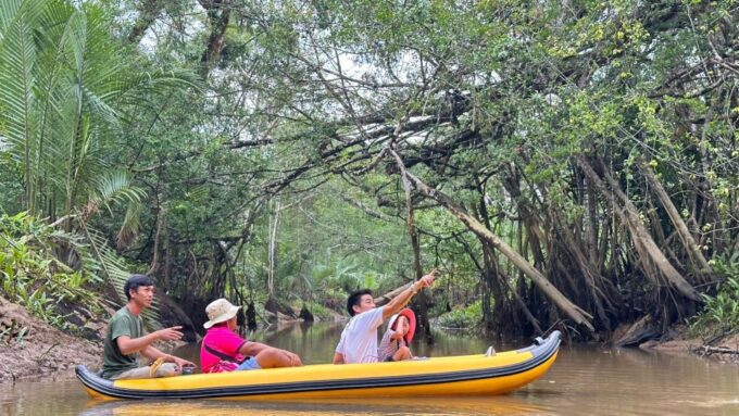 Khao Lak: Elephant Sanctuary Visit and Mangrove Kayak Tour - Pickup and Transfers