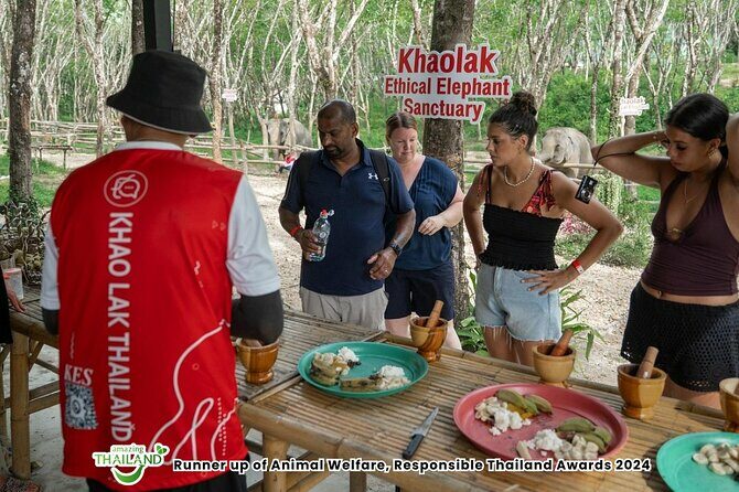 Khao Lak Ethical Elephant Sanctuary Conservation Experience - An In-Depth Look at the Experience