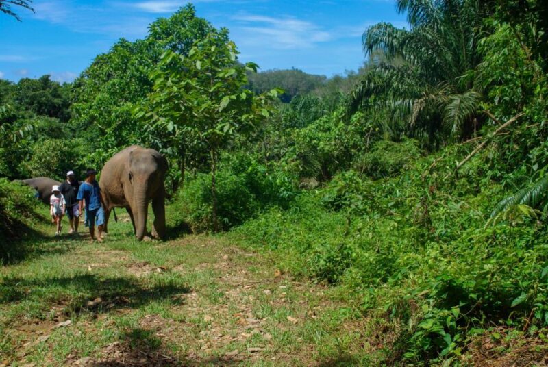 Khao Lak: Ethical Elephant Sanctuary Experience - Inclusions and Facilities