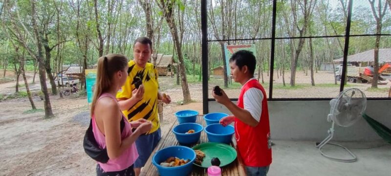 Khao Lak Ethical Elephant Sanctuary Overnight Program - Culinary and Accommodation