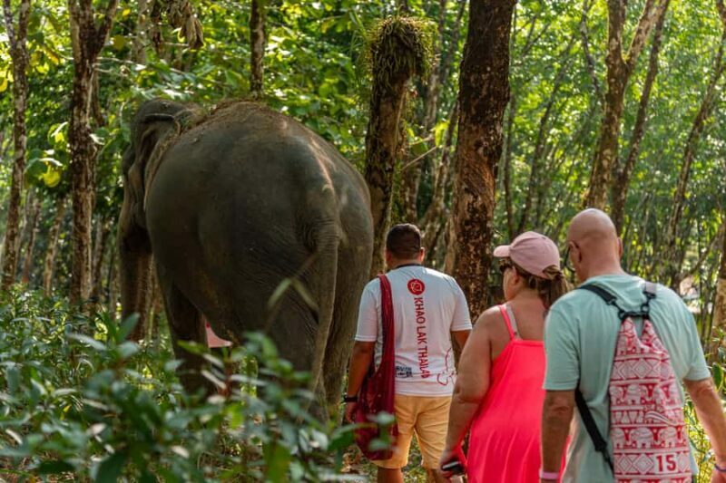 Khao Lak: Ethical Elephant, Zipline & ATV Premium Combo - Practical Tips for Travelers