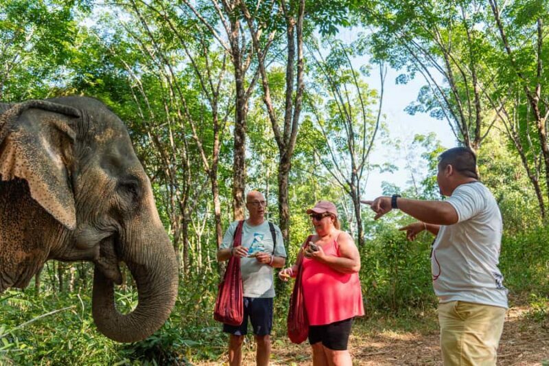Khao Lak: Ethical Elephant, Zipline & ATV Premium Combo - FAQs