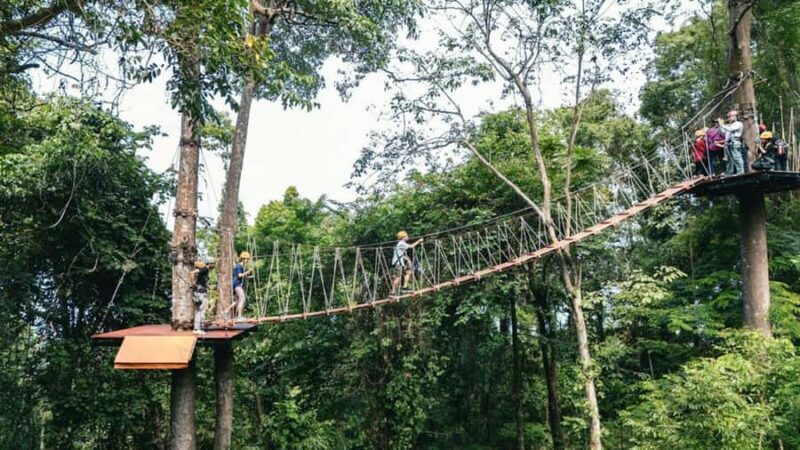 Khao Lak: Ethical Elephants & Zipline Combo Tour - An Honest Look at the Experience