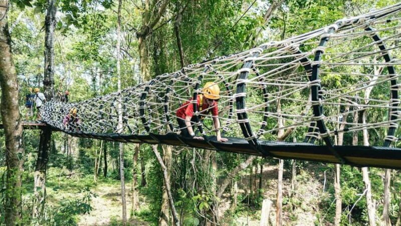 Khao Lak: Ethical Elephants & Zipline Combo Tour - Authentic Feedback from Participants