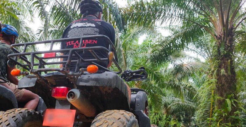 Khao Lak: Guided ATV Tour With Lampi Waterfall Swim - Age and Ability Requirements