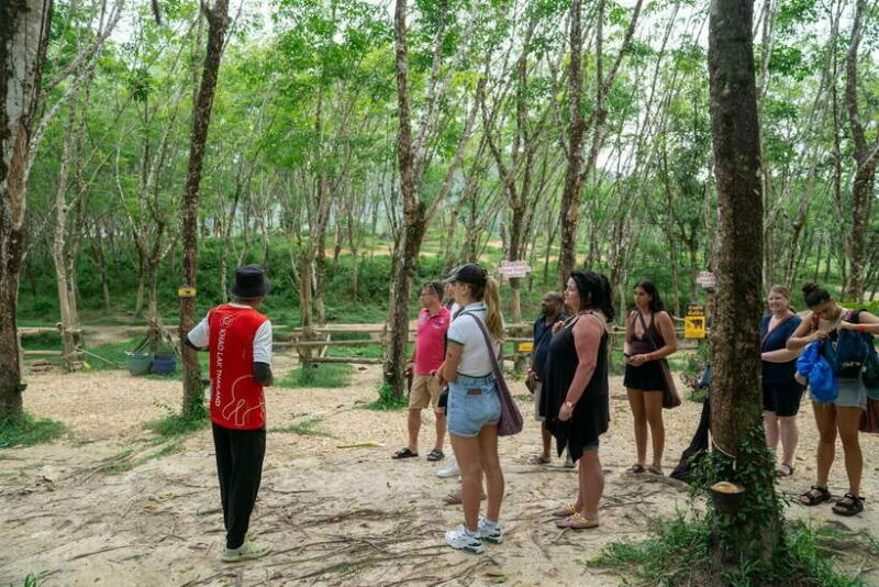 Khao Lak Guided Nature Walk & Elephant Experience - Analyzing the Value