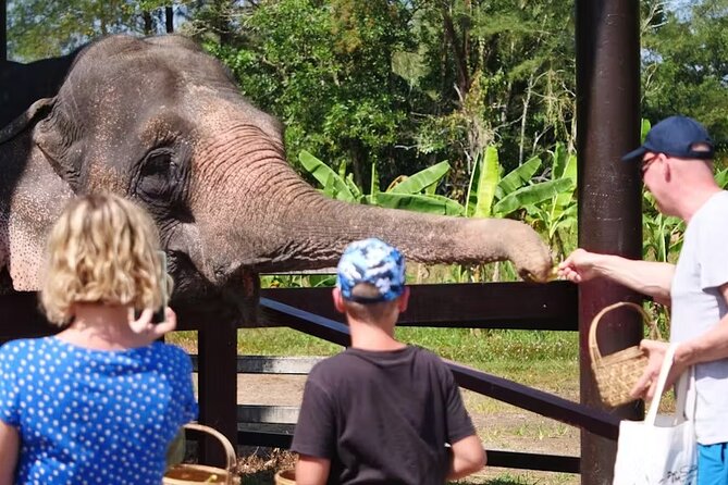 Khao Lak Highlights Tour With Buddhist Temple Blessing - Price and Payment Options