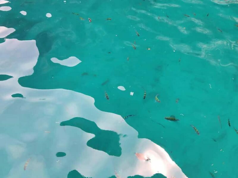 Khao Lak: Khao Na Yak Sightseeing & Snorkeling Small Group - The Sum Up