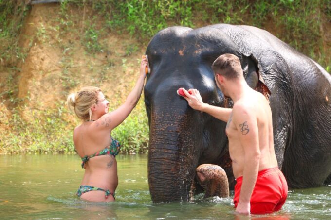 Khao Lak: Khao Sok Bamboo Rafting and Elephant Bathing Trip - What to Bring