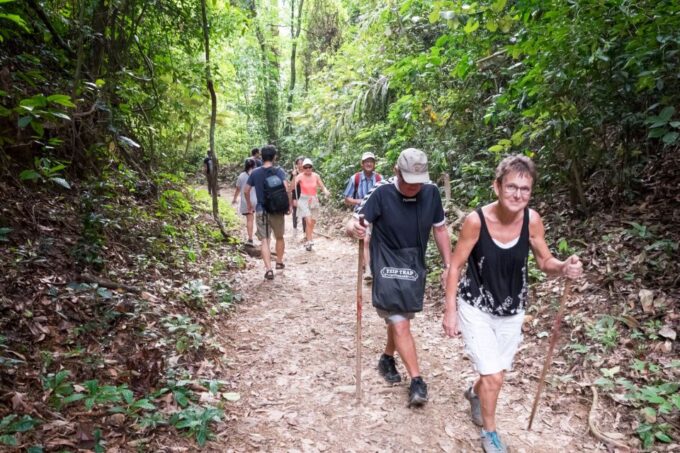 Khao Lak: Khao Sok Elephant Sanctuary and Night Jungle Walk - Payment and Booking Options