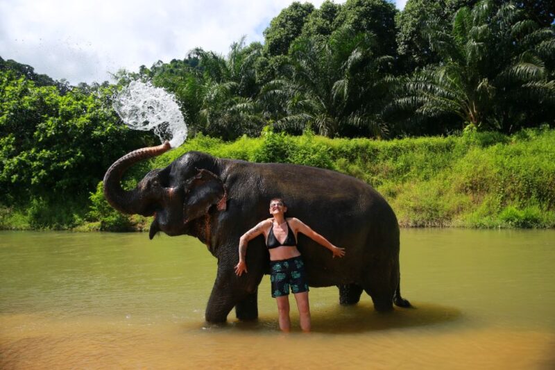 Khao Lak: Khao Sok National Park Overnight Treehouse Trip - Transportation and Group Size