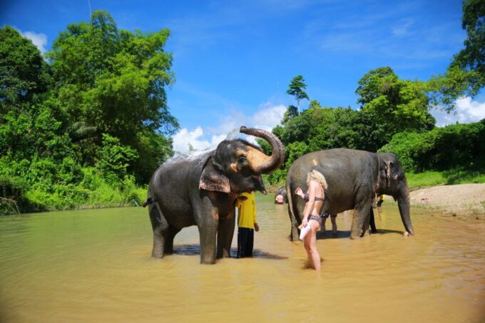 Khao Lak: Khao Sok National Park Overnight Treehouse Trip - Customer Feedback