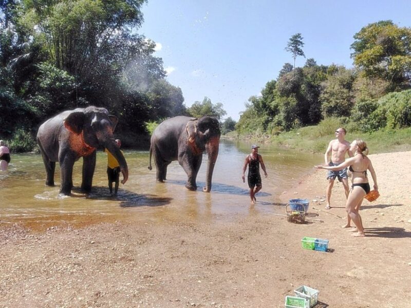 Khao Lak: Khao Sok Private Elephant Daycare & Bamboo Rafting - Bamboo Rafting Adventure
