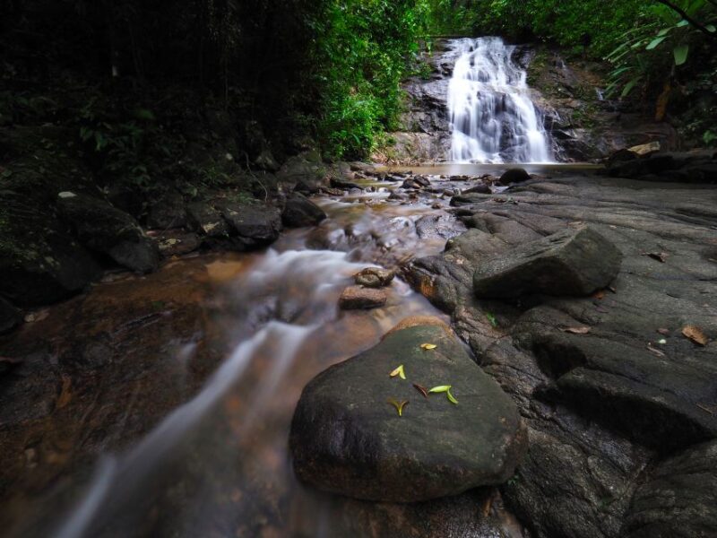 Khao Lak: Little Amazon Canoe Ride & Tam Nang Waterfall Tour - Activity Highlights