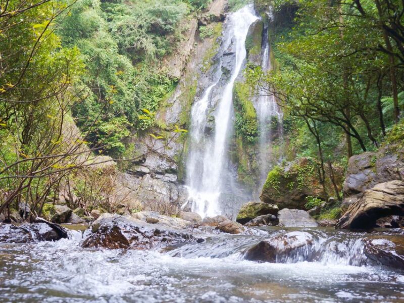 Khao Lak: Little Amazon Canoe Ride & Tam Nang Waterfall Tour - Important Information