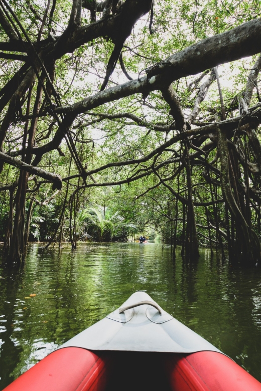 Khao Lak: Little Amazon Canoe Ride & Tam Nang Waterfall Tour - Customer Reviews and Ratings