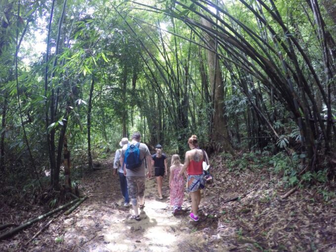 Khao Lak: Little Amazon Canoe Ride & Tam Nang Waterfall Tour - Experiencing the Little Amazon