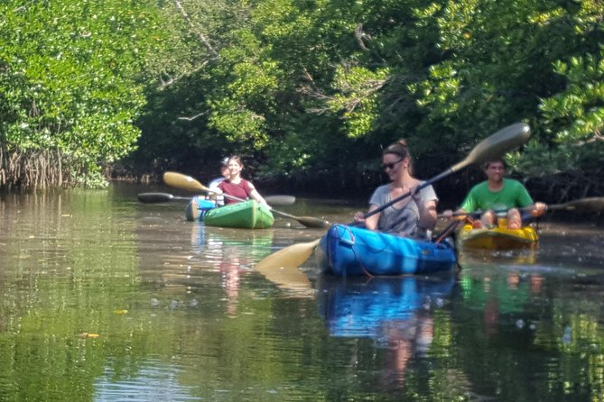 Khao Lak Mangrove Explorers - Tour Options and Inclusions