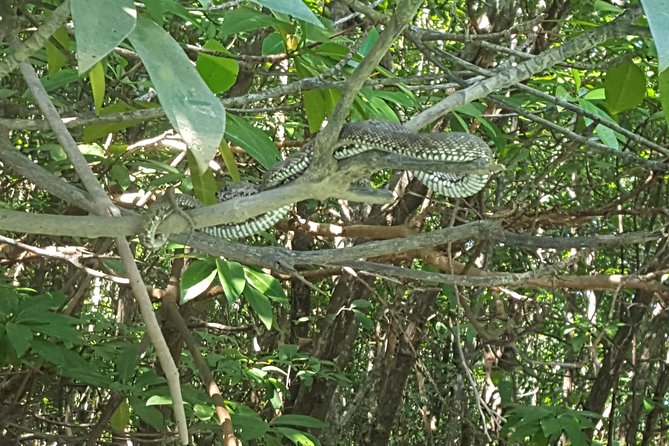Khao Lak Mangrove Explorers - Booking and Cancellation Policy