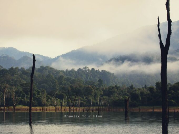 Khao Lak or Phuket: 2-Day Cheow Lan Lake Tour - Jungle Trail Cruise and Exploration