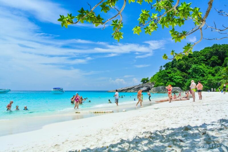 Khao Lak/Phuket: Similan Islands Wonderful Trip by Speedboat - Highlights of the Tour