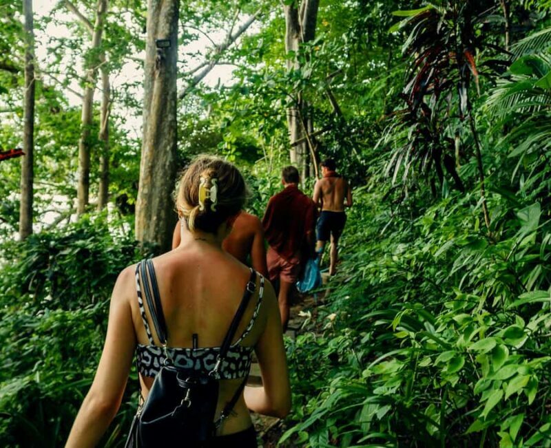 Khao Lak: Private Khao Sok Jungle Safari with Bamboo Rafting - Who Will Love This Tour?