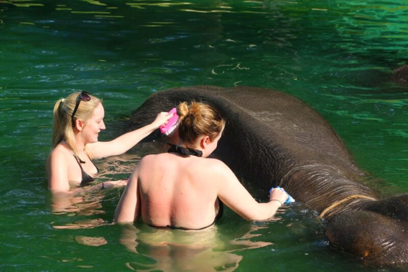 Khao Lak: Rafting, Elephant Bathing & Sea Turtle Center Tour - Key Points