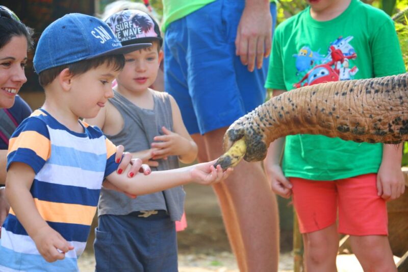 Khao Lak: Rafting, Elephant Bathing & Sea Turtle Center Tour - Experience Highlights
