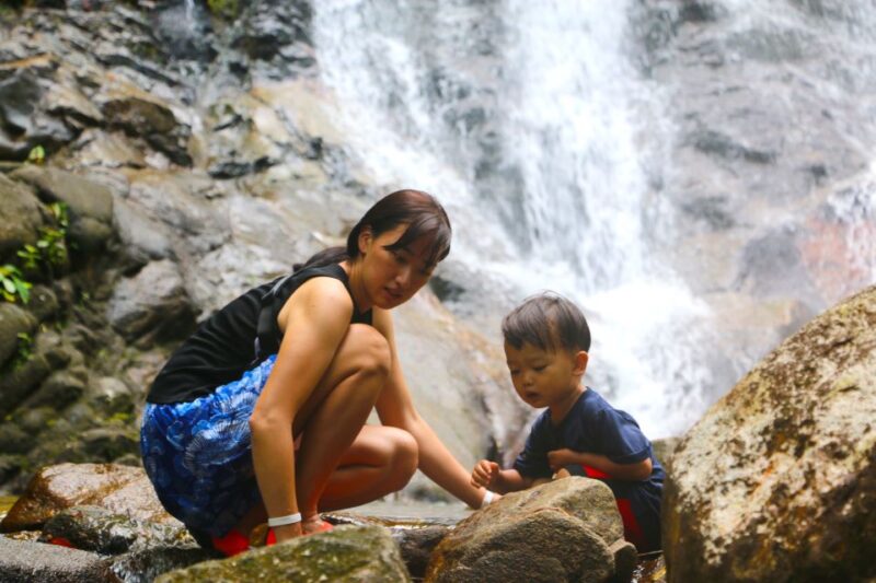 Khao Lak: Rafting, Elephant Bathing & Sea Turtle Center Tour - Participant Information and Requirements