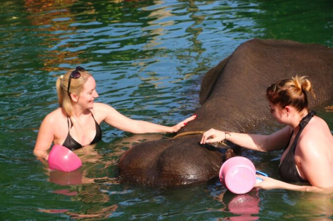 Khao Lak: Rafting, Elephant Bathing & Sea Turtle Center Tour - Ethical Treatment of Elephants