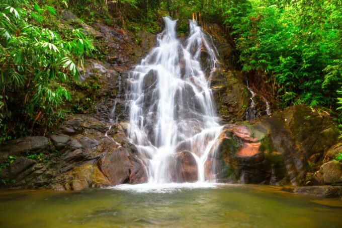 Khao Lak: Rafting, Elephant Bathing & Sea Turtle Center Tour - Tranquil Bamboo Rafting Adventure