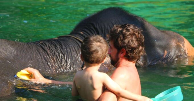 Khao Lak: Rafting, Elephant Bathing & Sea Turtle Center Tour - Sea Turtle Conservation Efforts