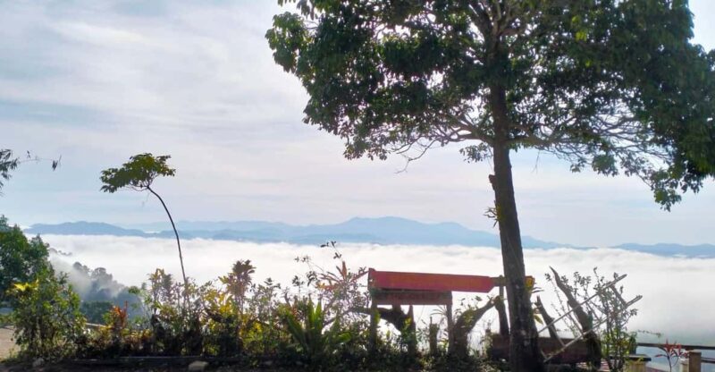 Khao Lak: Sea of Fog on Hill & Sunrise at Khao Khai Nui - Group Size and Guide