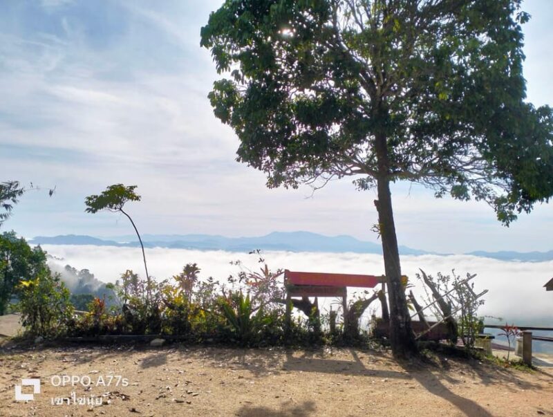 Khao Lak: Sea of Fog on Hill & Sunrise at Khao Khai Nui - Itinerary Overview