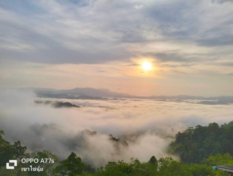 Khao Lak: Sea of Fog on Hill & Sunrise at Khao Khai Nui - Sightseeing and Highlights