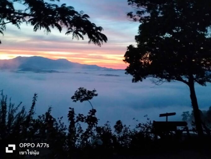 Khao Lak: Sea of Fog on Hill & Sunrise at Khao Khai Nui - Pricing and Duration