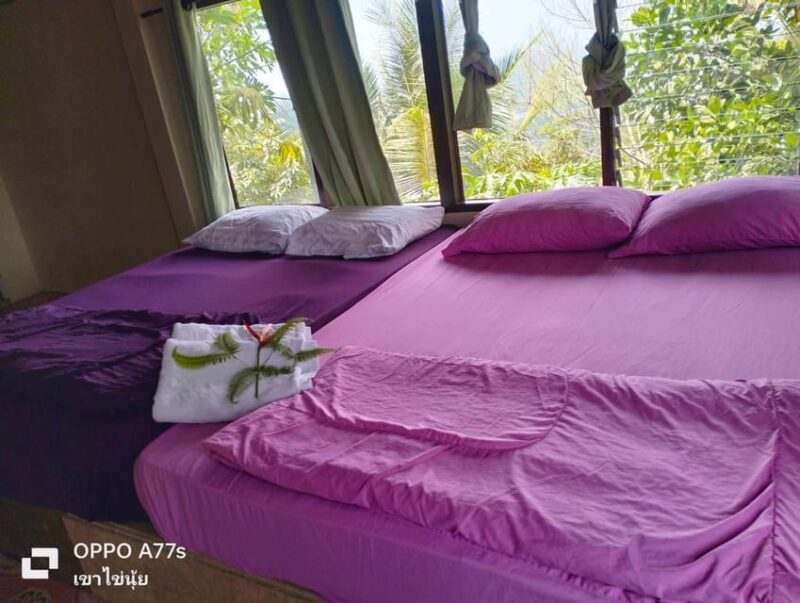 Khao Lak: Sea of Fog on Hill With Homestay One Night - Fog and Nature Sights