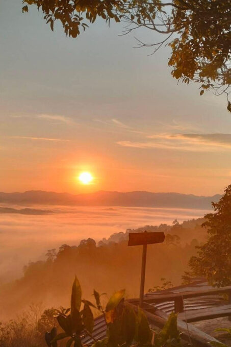 Khao Lak: Sea of Fog on Hill With Homestay One Night - Frequently Asked Questions